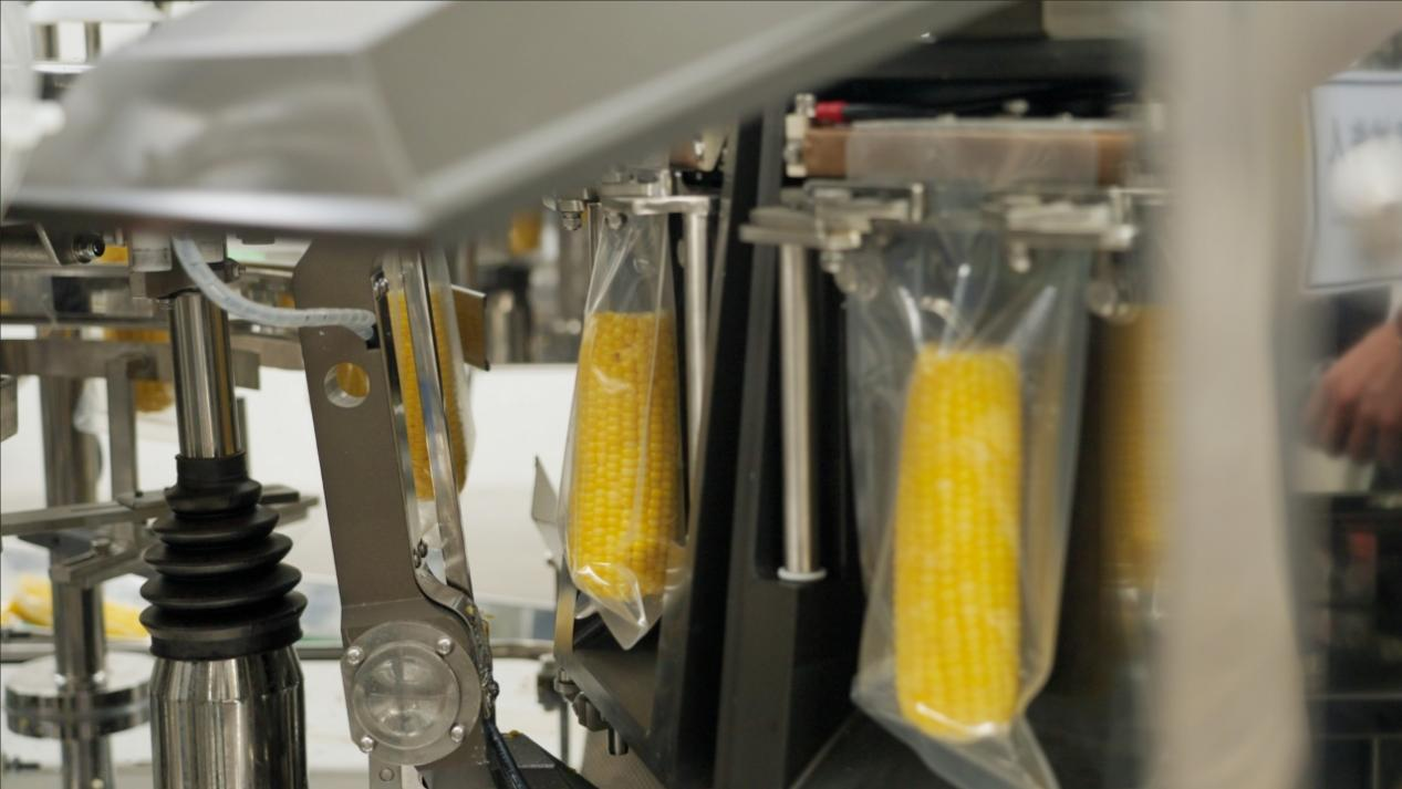 對話十月稻田董事長王兵 從農產品零售到新一代廚房主食品牌的突圍之路